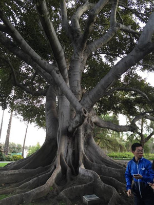 20150303231114_3261_副本.jpg 20150303231114_3261_副本.jpg