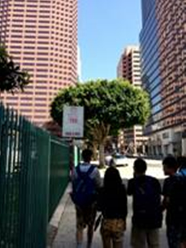 201.3.jpg 201.3.jpg
